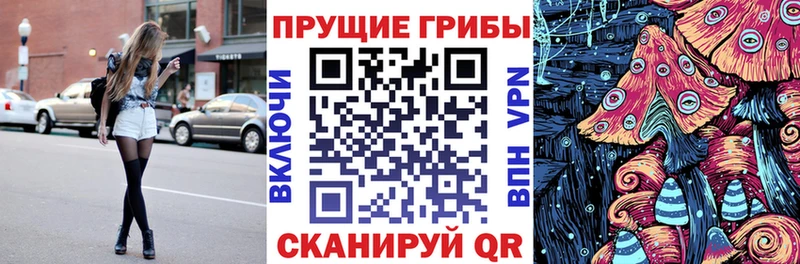 Купить  Циолковский  Псилоцибиновые грибы ЛСД 